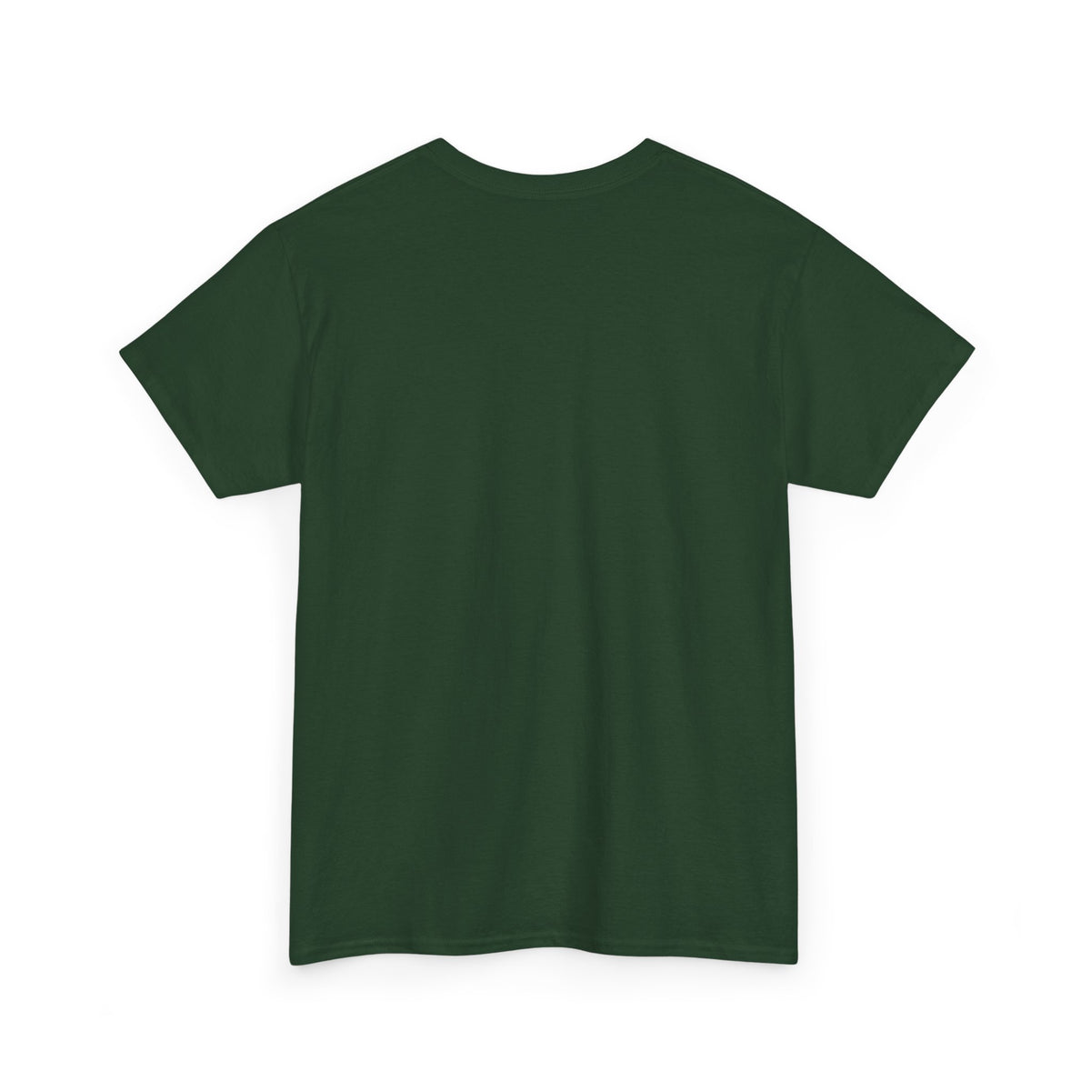 Not Fast Not Furious Sloth T-Shirt
