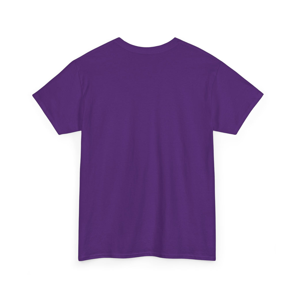 Attitude Tee – "I Don't Need Your Attitude, I Have My Own" Graphic T-Shirt