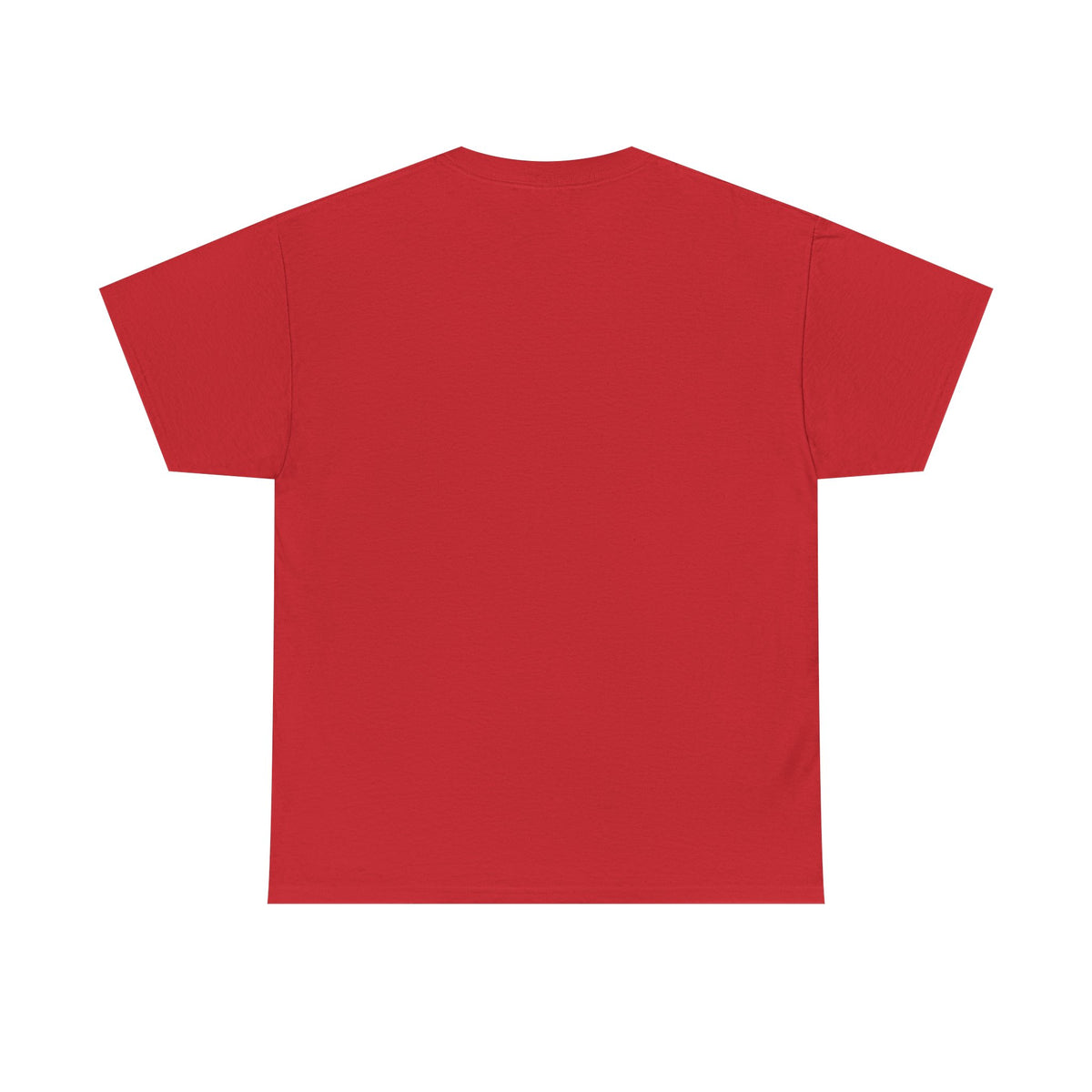 Alien Graphic Tee — "I Don’t Believe in Humans" Funny Sci‑Fi T‑Shirt