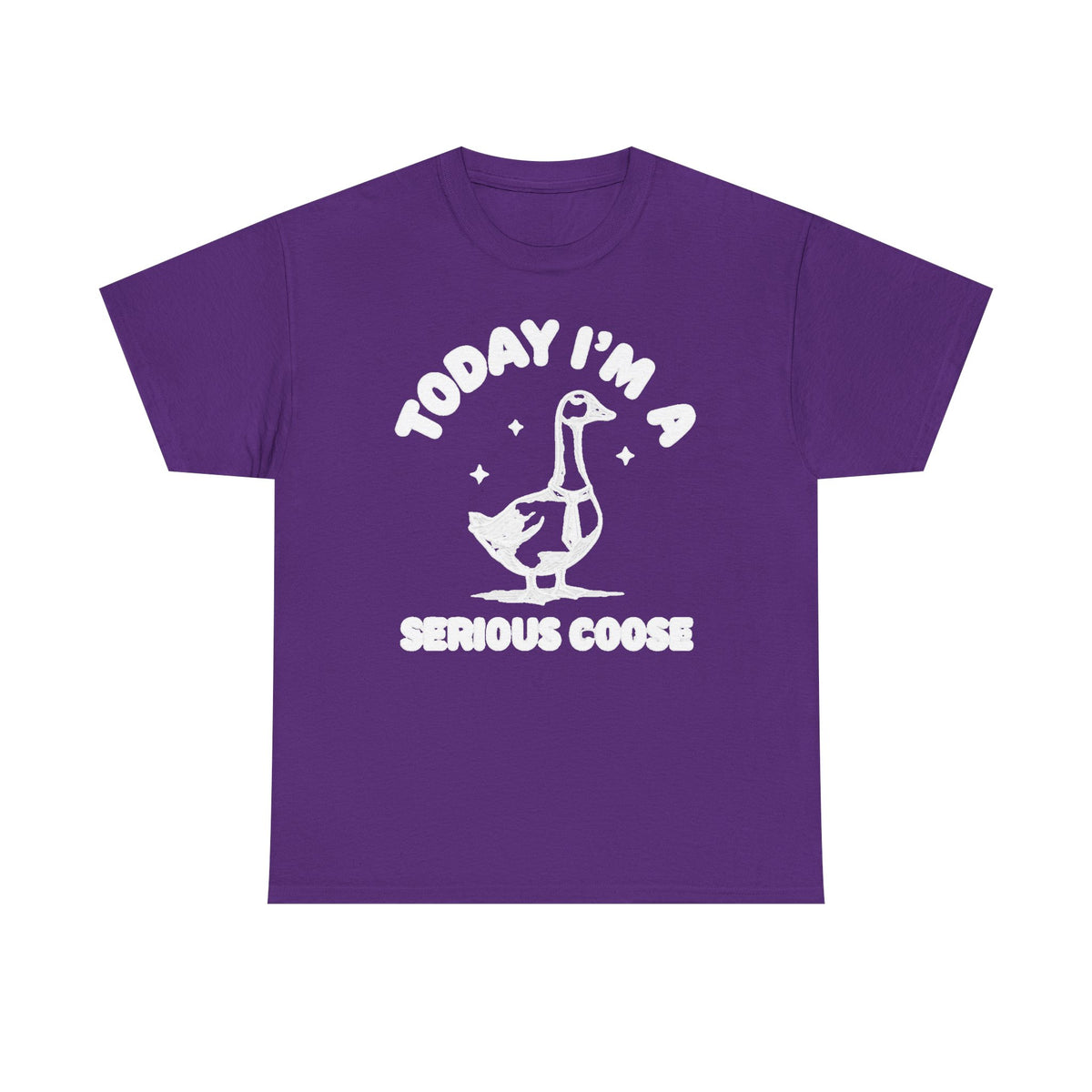 Serious Goose T‑Shirt — "Today I'm a Serious Goose" Funny Graphic Tee